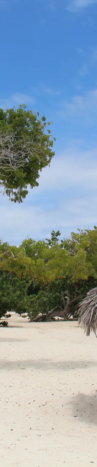 Lass es dir gut gehen am Traumstrand von Guardalavaca